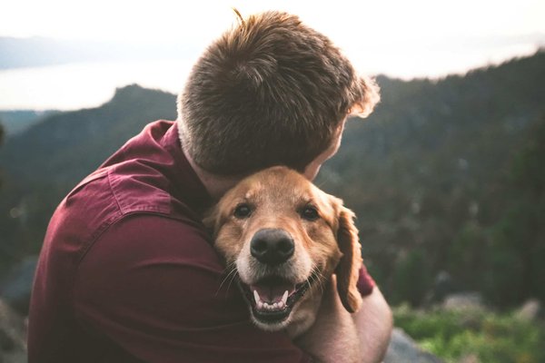 The benefits of fostering pets