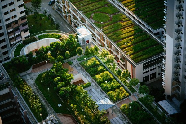 Can urban green roofs mitigate the effects of urban flooding and stormwater runoff?